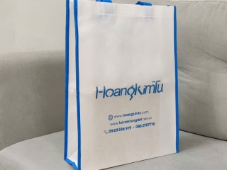 CÔNG TY CHUYÊN CUNG CẤP CÁC MẪU TÚI VẢI CHẤT LƯỢNG