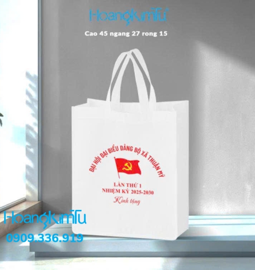 Túi vải không dệt - túi đại hội 