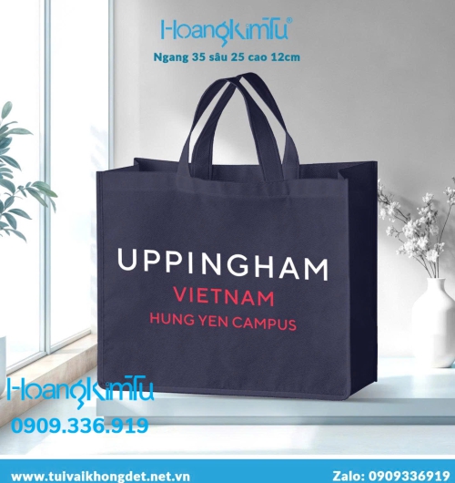 Túi vải không dệt - túi đại hội 