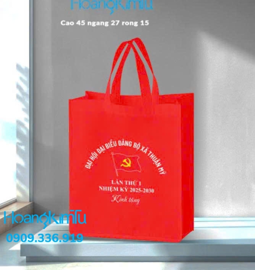Túi vải không dệt - túi đại hội 